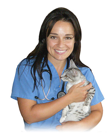 Dr. Laura Palumbo - Mobile Veterinarian - London, Ontario